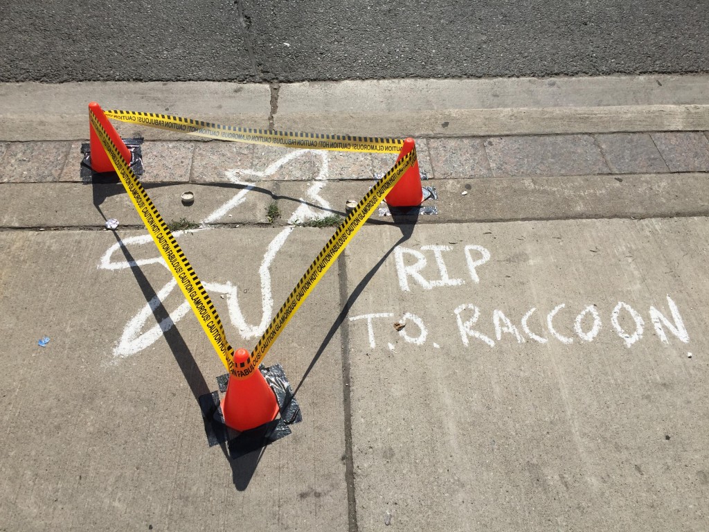 RIP-#DeadRaccoonTO